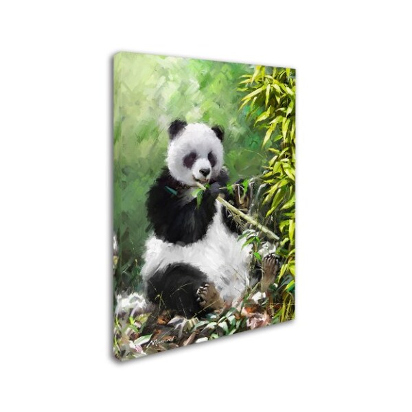 The Macneil Studio 'Panda' Canvas Art,24x32
